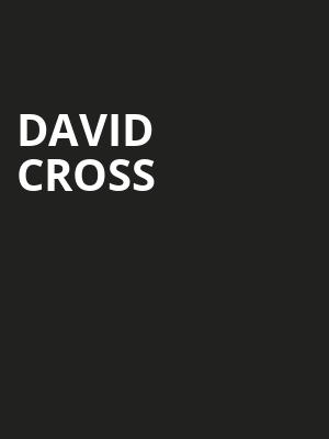David Cross, The National, Richmond