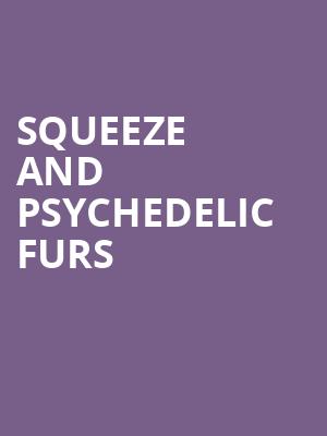 Squeeze and Psychedelic Furs, Virginia Credit Union Live, Richmond