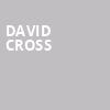 David Cross, The National, Richmond