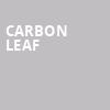 Carbon Leaf, The National, Richmond