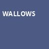 Wallows, The National, Richmond